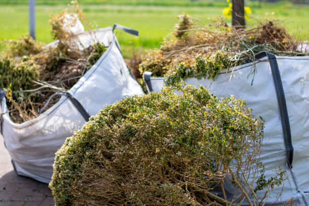 Best Construction Debris Removal  in Carrollton, GA